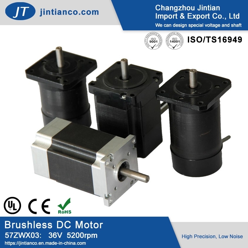 Special Long Screw Shaft 23 Brushless DC Motors Massage Motor