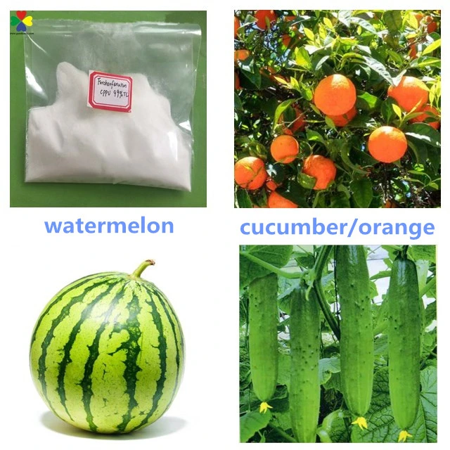 Cppu Forchlorfenuron Plant Growth Hormone Use of Agricultural Chemicals