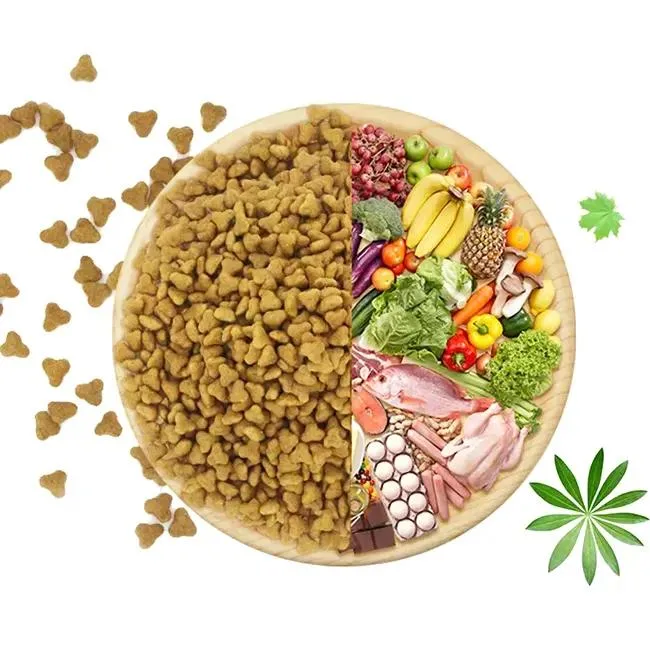 Alimento natural orgânico do cão seco