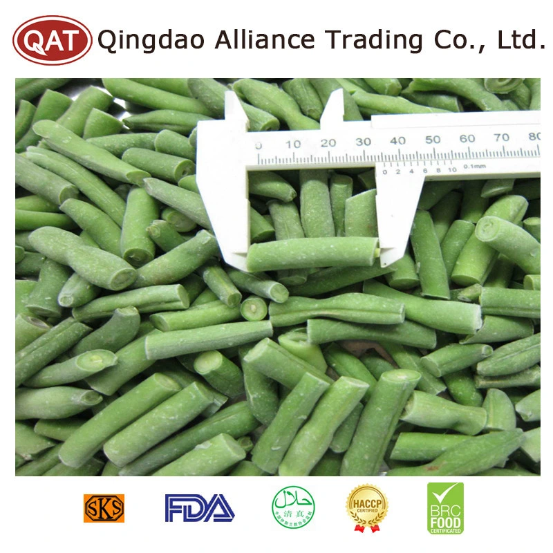 Top Quality Frozen IQF Cut Green Beans with Factory Price EU Standard in Bulk Retail Packing