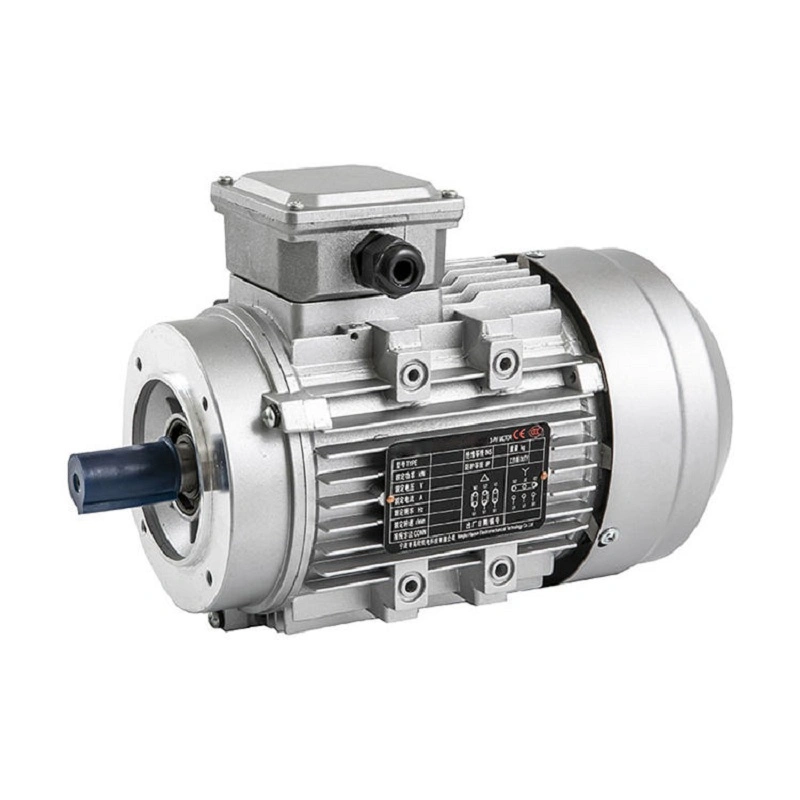 Standard Three Phase Induction Motor Cast Iron Electric AC Motor