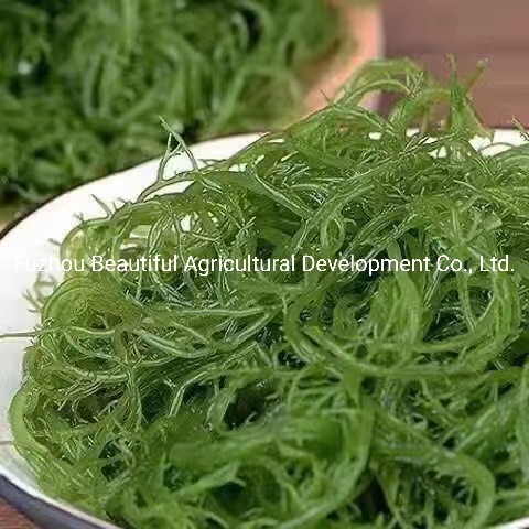Food Grade roja cocida de algas Gracilaria de Fujian Fuzhou