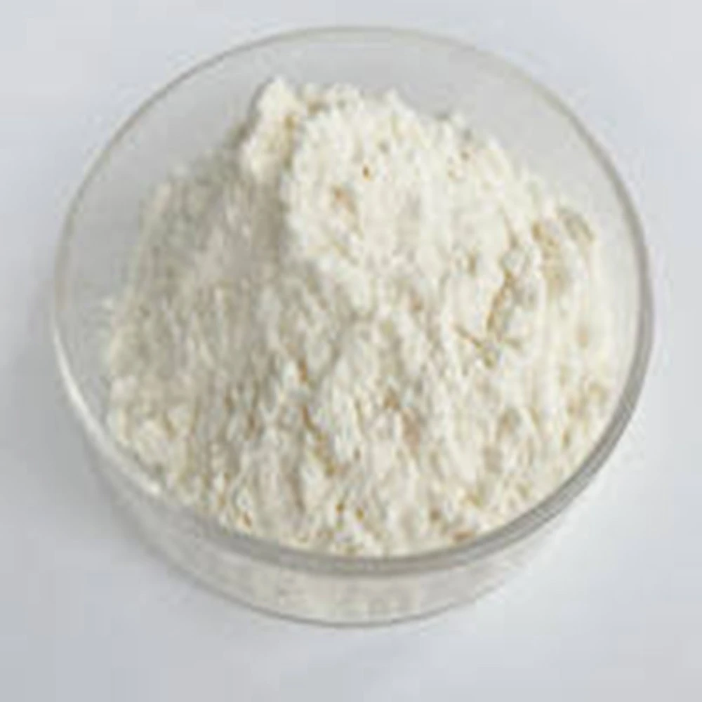 Best Price 25 Kg Bagged 80 Mesh Food Grade Xanthan Gum CAS 11138-66-2