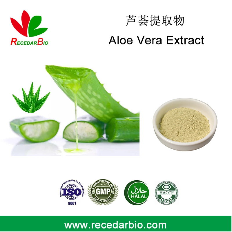Cosmetic Ingredients Aloe Vera Gel Powder Aloe Vera Powder