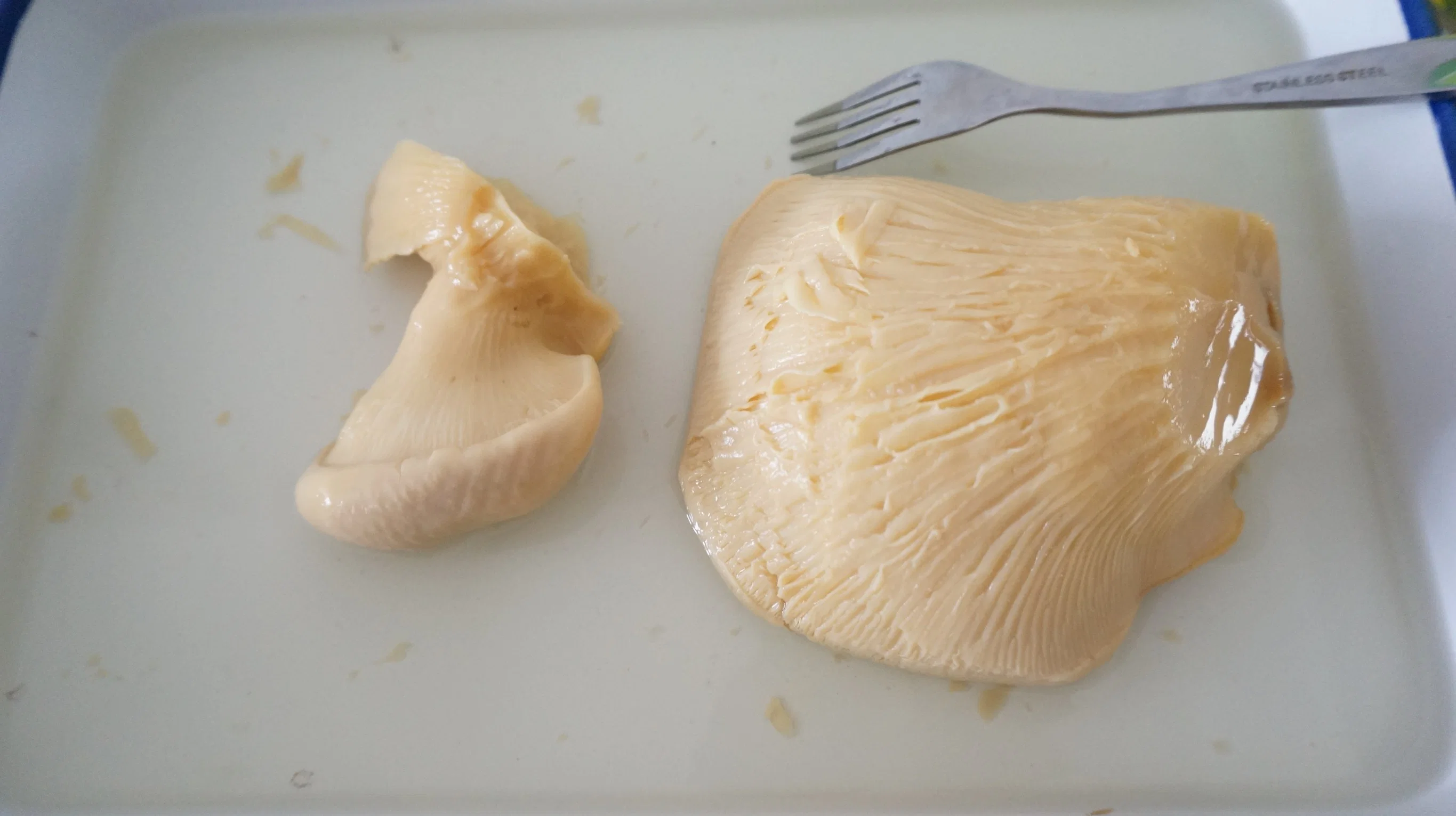 High quality/High cost performance  Fresh White Elf Bailing Mushroom for Export