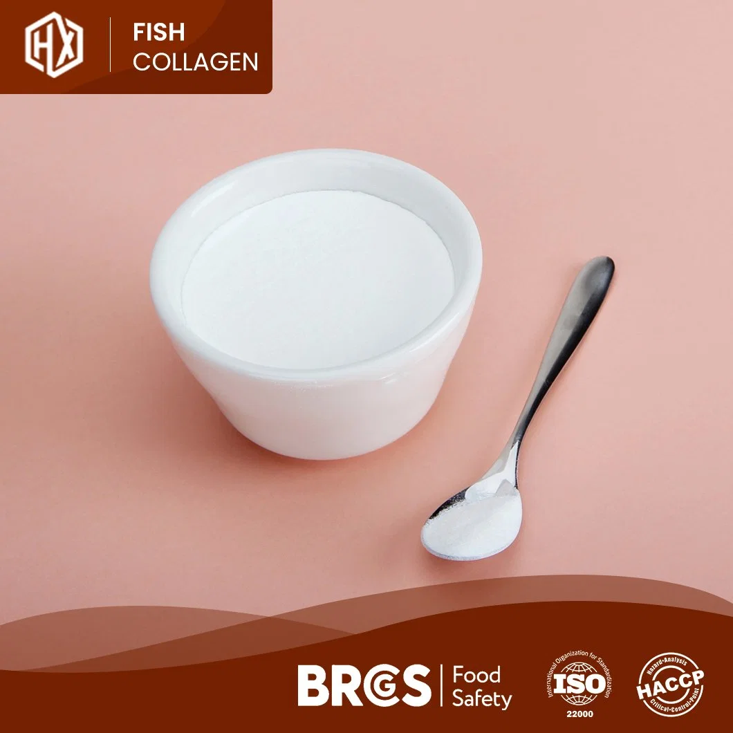 Haoxiang Fish Collagen Pure Hydrolyzed Deep Sea Fish Scale Collagen Powder Enzymatic Hydrolysis Technology Process Hydrolyzed Fish Collagen Powder Manufacturer