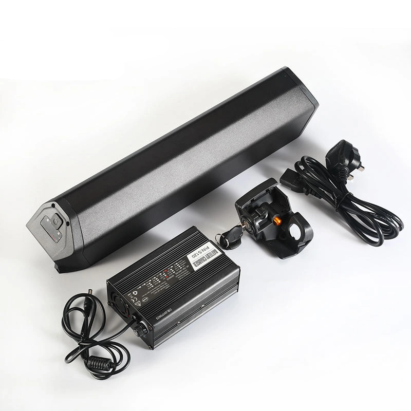 Best Quality Battery and Motor for Electric Bike Battery E Bike 36V Battery for 1500W Ebike