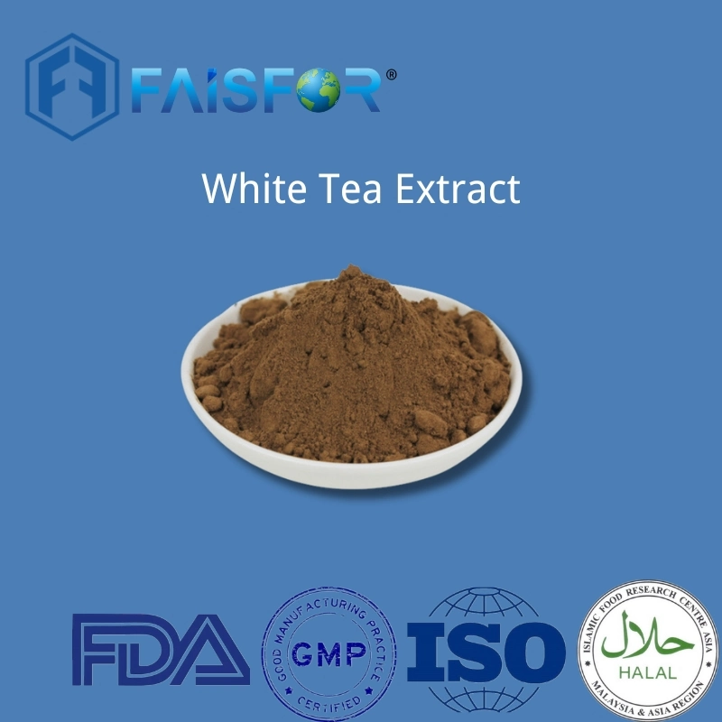 Factory Wholesale/Supplier Price Botanical Extract White Tea Extract with Free Sample