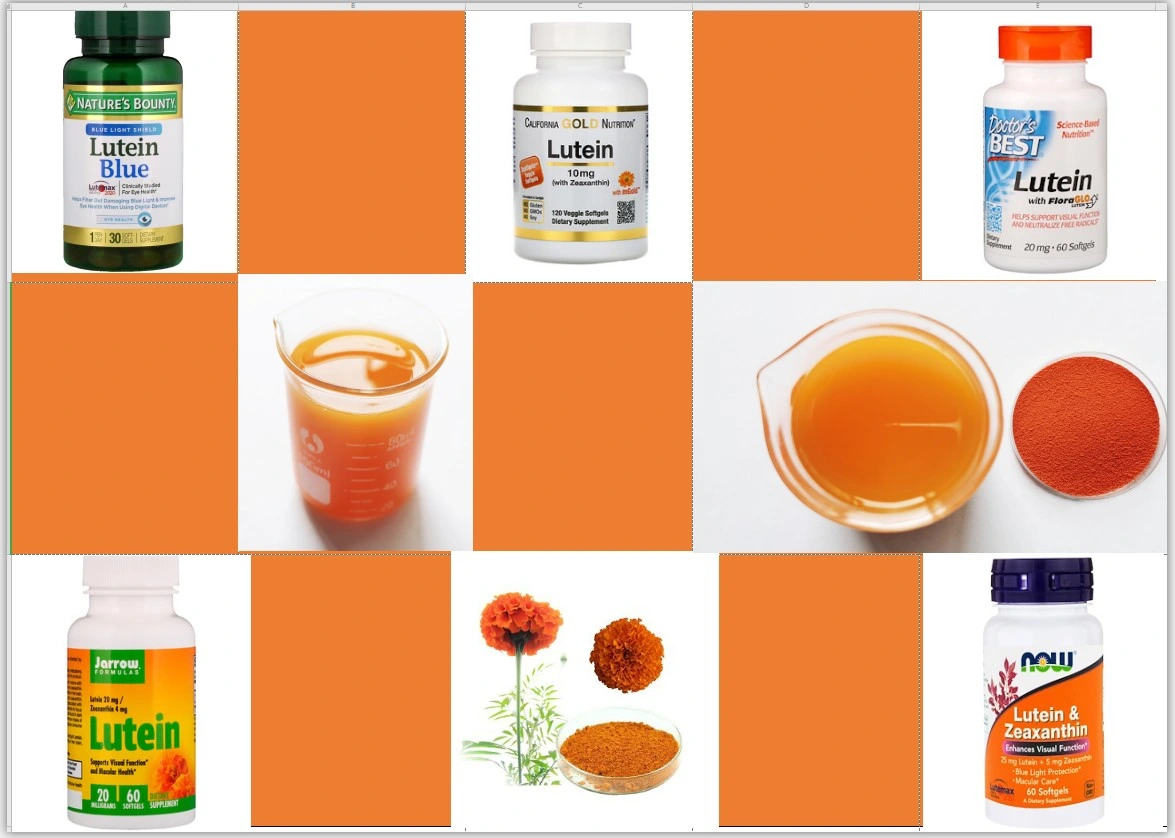 Extracto de Herb de planta Natural CAS 127-40-2 Lutein polvo Flor de Marigold Extraer