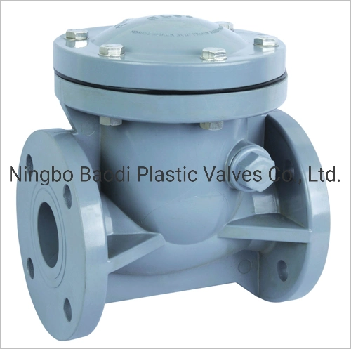 PVDF Check Valve, Swing Type