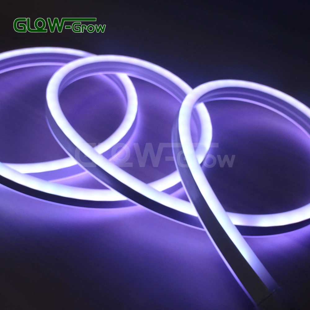 Factory ETL UL IP65 5050 RGB Sync Flexible Strip Light LED Neon Licht für Highlight Landschaft Gebäude Beleuchtung Hochzeitsfeiertag Dekoration