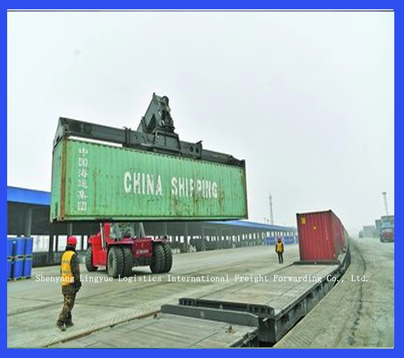 Agente de Transporte aéreo/Transporte marítimo/Envío puerta a puerta Servicio desde Shenyang en China al mundo