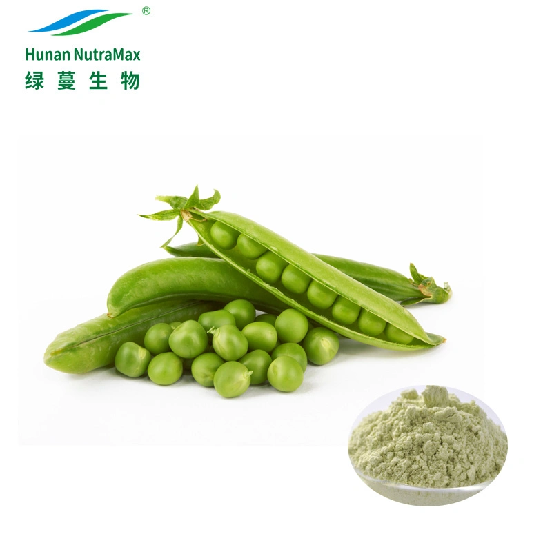 Wholesale/Supplier Green Pease Powder Pea Protein Powder 80%-85%