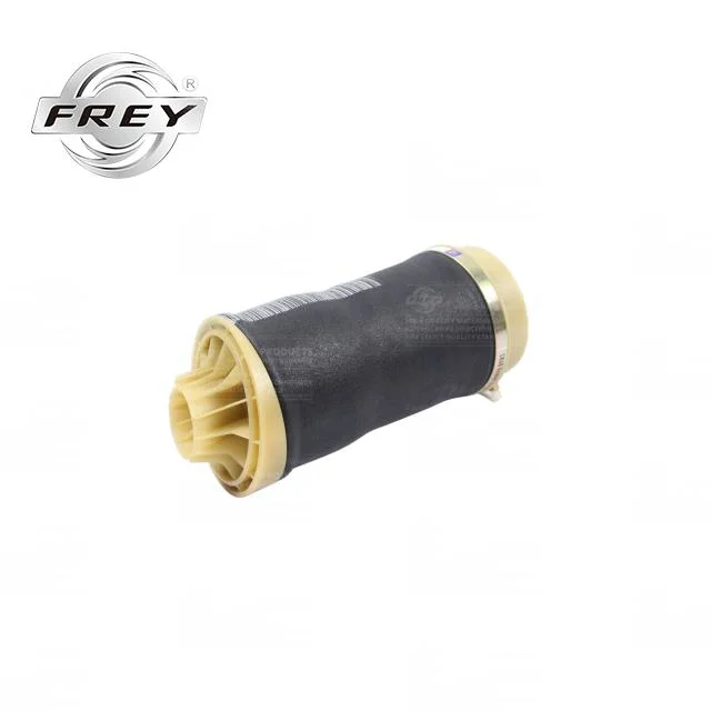 Frey Auto Parts Shock Absorber Air Suspension 2513200425 for Mercedes Benz W251