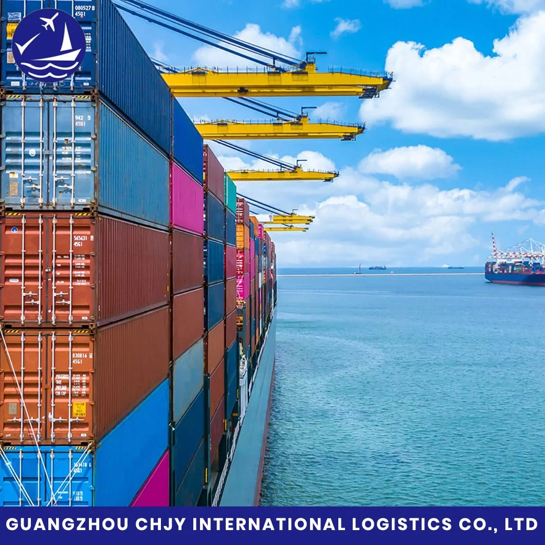 DDP Sea Freight Shipping From China to Poland/Lithuania/Latvia/Estonia/Belarus/Kazakhstan Fba Amazon Agents Logistics Rates Air Express Forwarder Logistics 1688