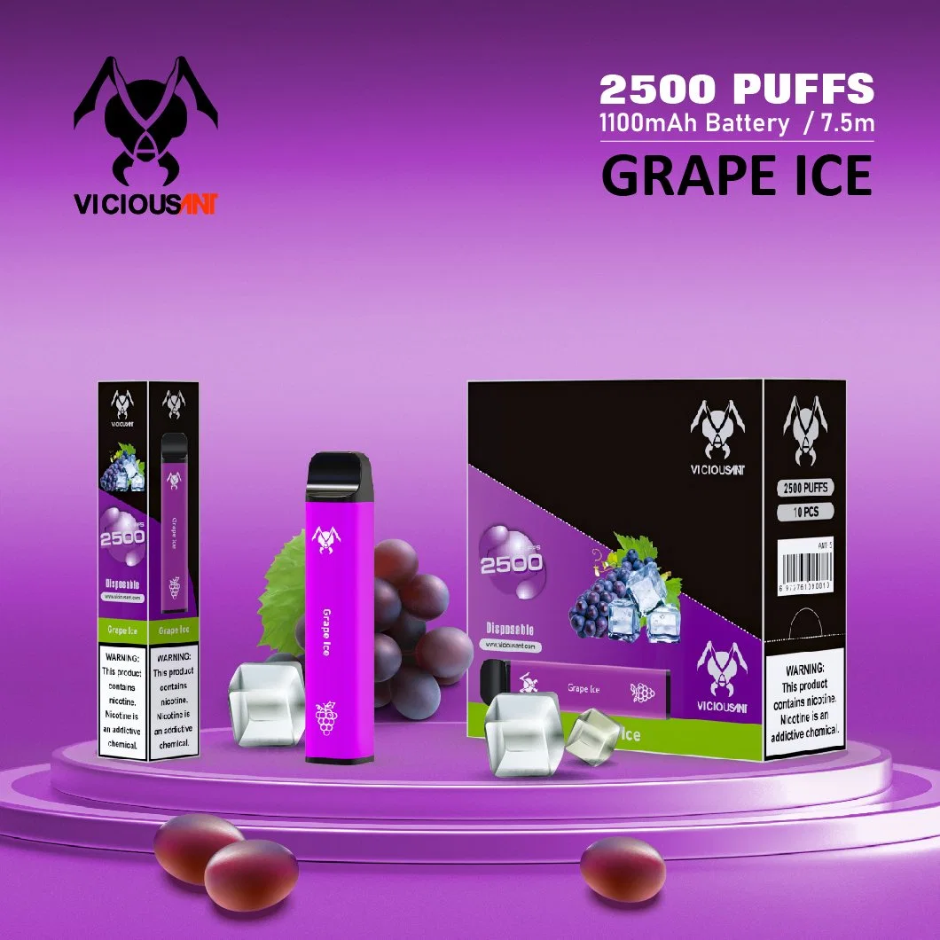 Hot Sale New Disposable/Chargeable 2500 Puff Vape Product
