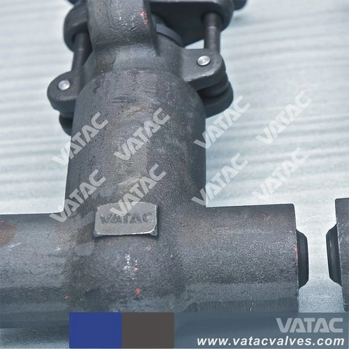 Butt Weld or Socket Weld Forged Gate Valve with Bw or Sw