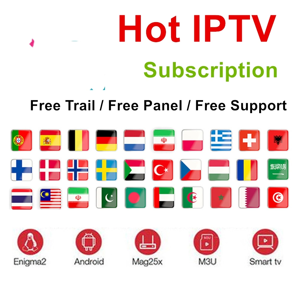 Professional IPTV Subscription World Server Reseller Panel mit M3U Kanälen Frankreich Großbritannien Spanien Deutschland Italien Schweden Android Set Top TV Feld