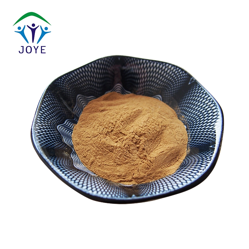 Acanthopanax Senticosus Root Extract in Stock Siberian Ginseng Extract 0.8%