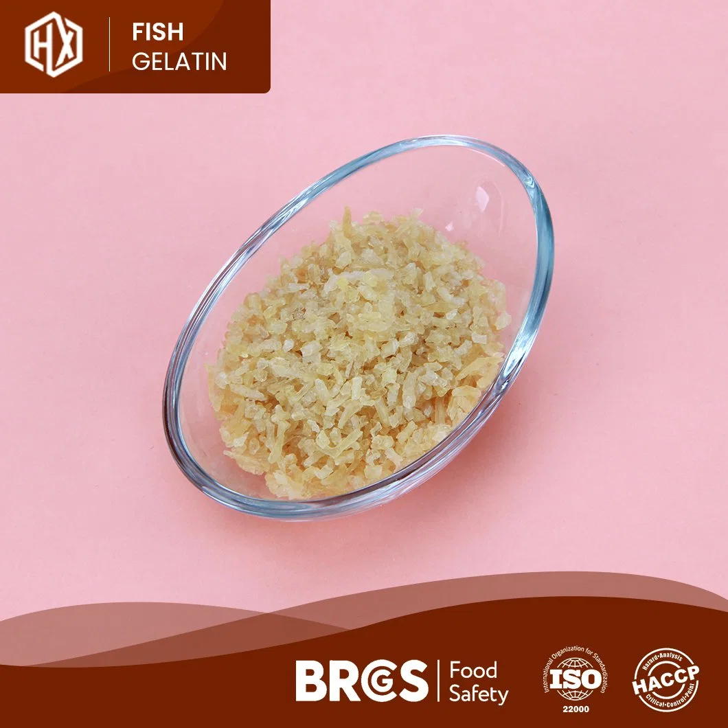 Haoxiang Free Sample Cod Fish Skin Gelatin China Food Grade Cod Fish Skin Gelatin Factory Good Rationality Performance Halal Cod Fish Skin Gelatin