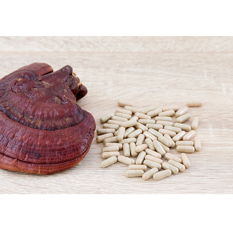 Organic Shiitake Mushroom Extract Reishi Ganoderma Lucidum Mushroom Fruiting Body Extract Powder