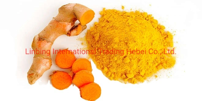 Hot Sale Factory Price Turmeric Root Extract Powder 10% - 95% Curcumin