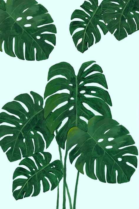 Monstera Plant Leaves Leaf Botanical Green Canvas Wall Art Painting Cheap Home Hotel Decor Framed Picture Modern Hanging Art