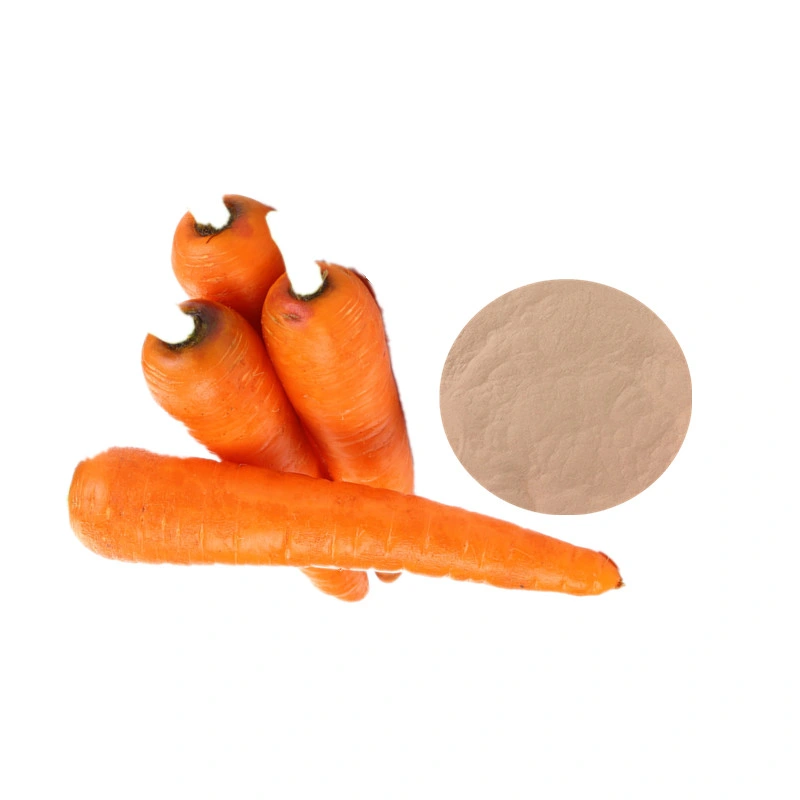 Water Soluble Carrot Light Orange Fruit and Vegetable Powders Halal Kosher