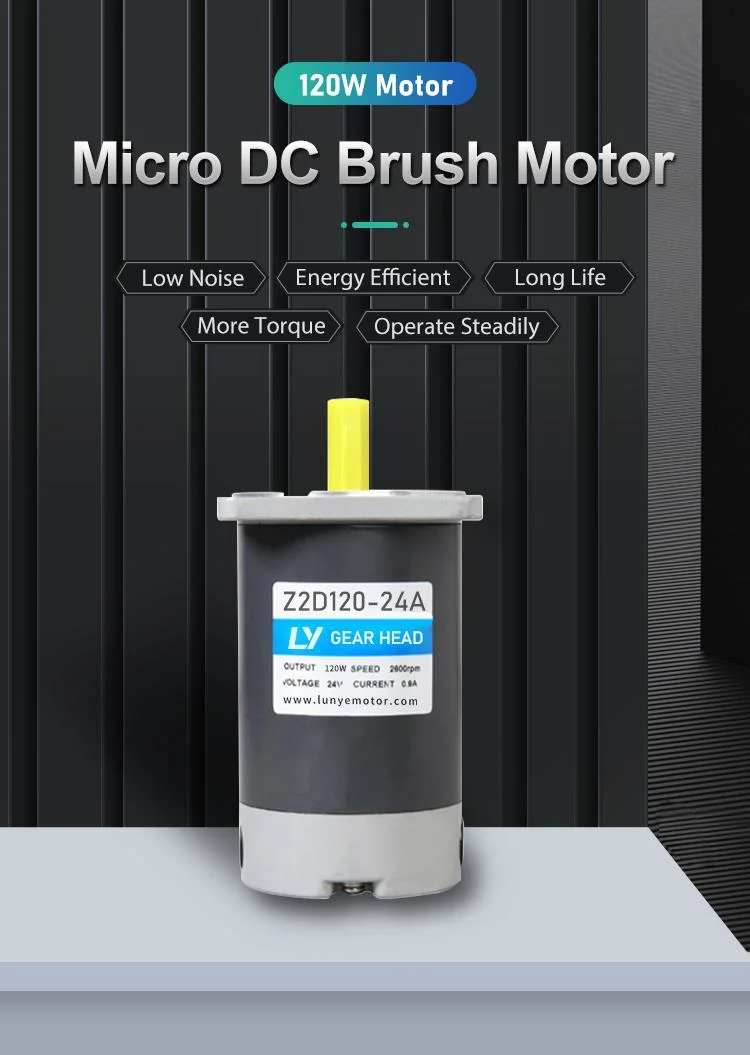 90mm Micro DC Motor 120W Ball Bearing Permanent Magnet Motor
