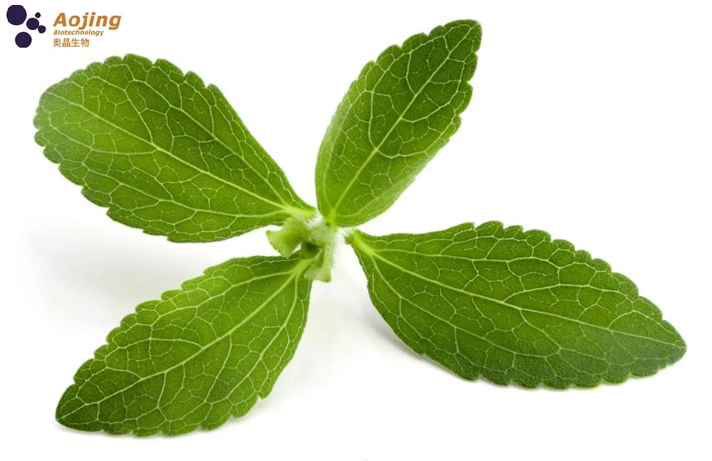 100% Pure Natural Food Ingredient Additive Chemicals Organic Sweetener Stevia Ra98% Competitive Price