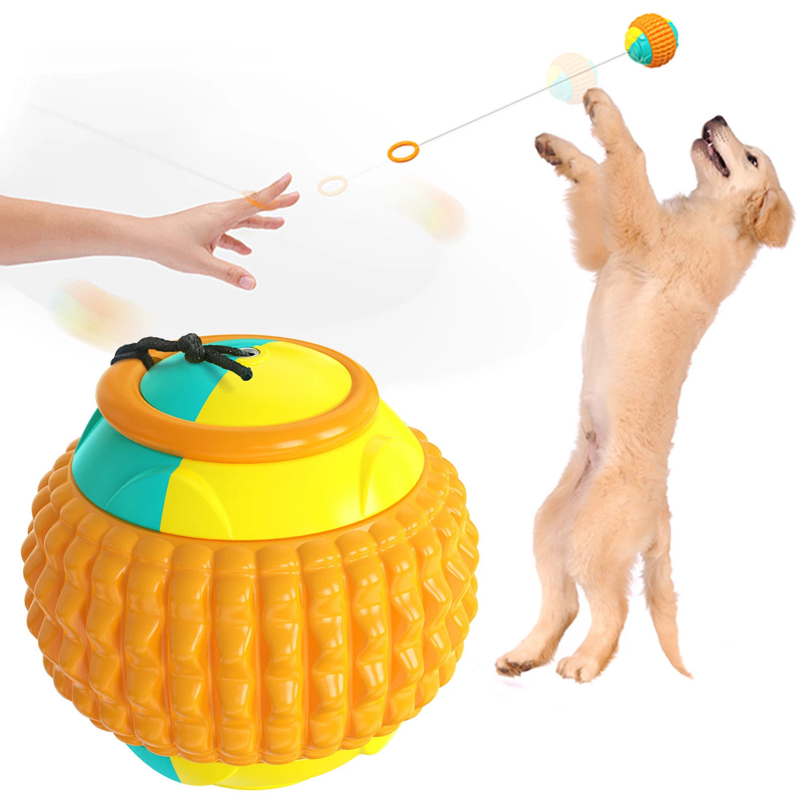 Cão Toy Ball humano - Animais interação bola saltitantes Animais produtos