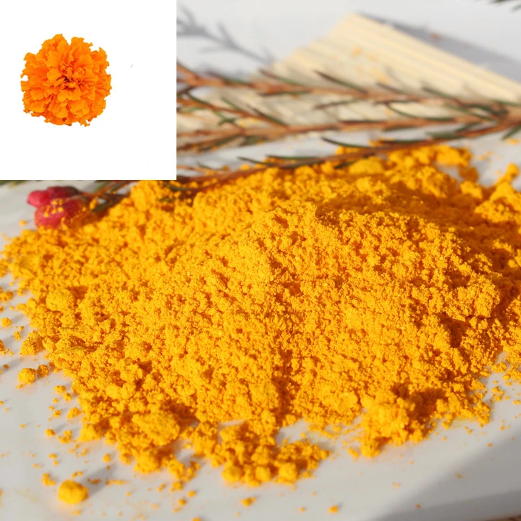 Factory Supply Marigold Flower Zeaxanthin Best Price