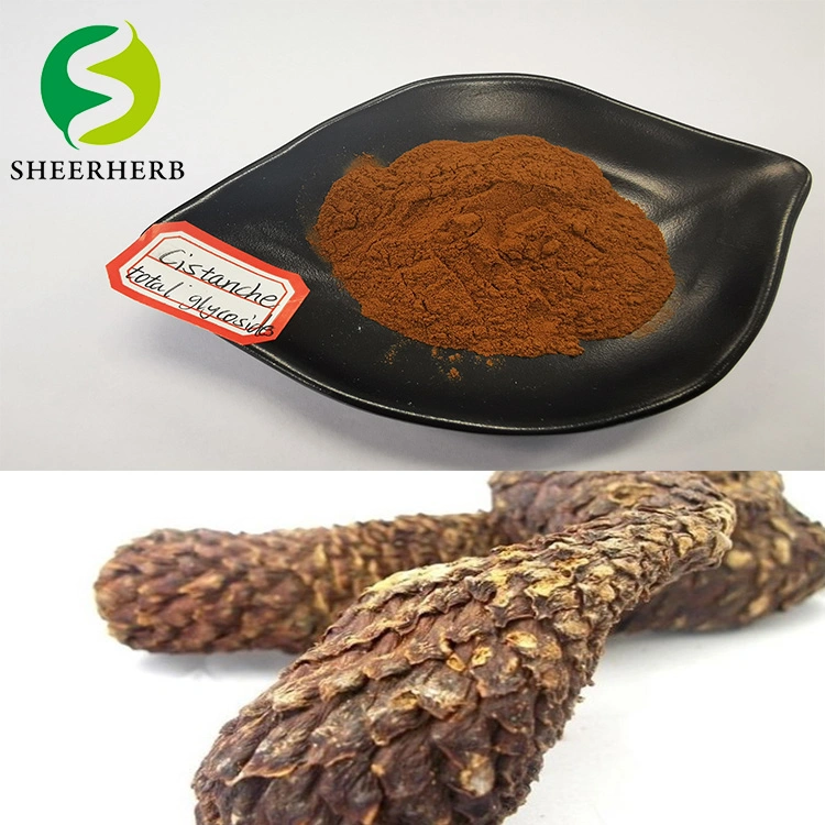 Sheerherb Alta calidad Hot-Vender Precio para aumentar Cistanche funcional Masculino