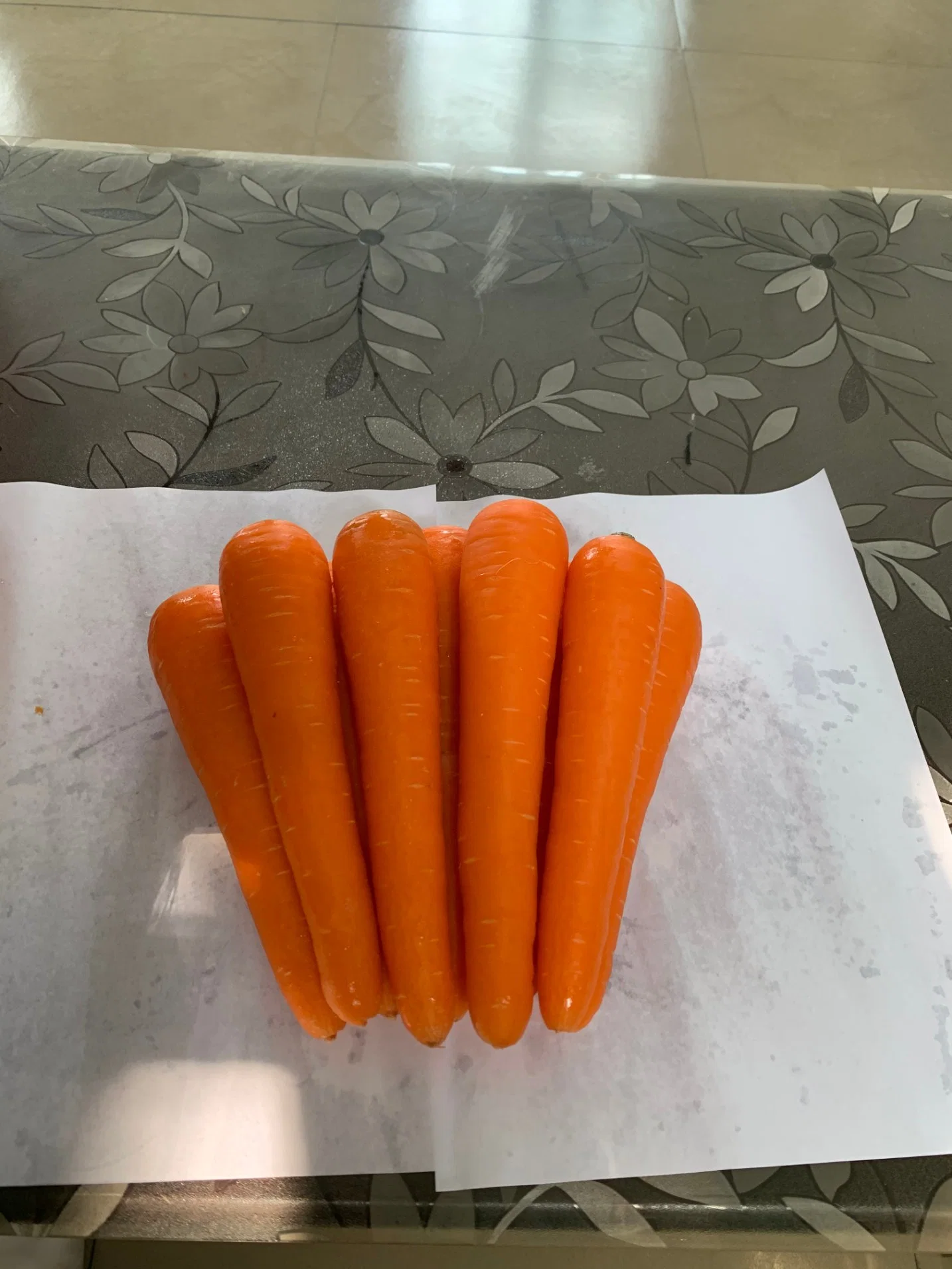 Good Quality and Price Fresh Carrot