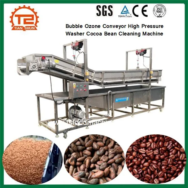 Bubble Ozone Conveyor Washing Machine High Pressure Washer Cocoa Bean Cleaning Machine