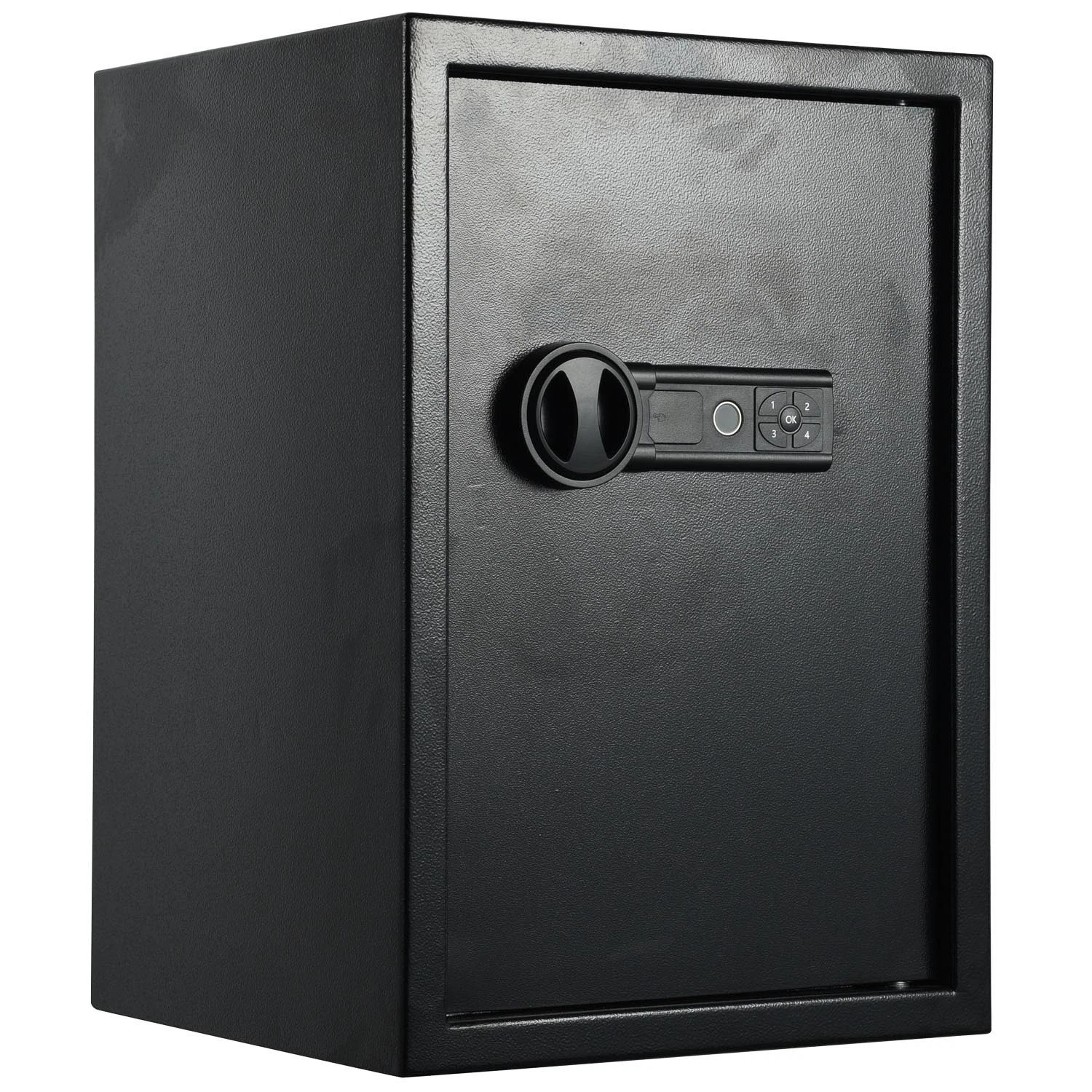 Big Volume Fingerprint and Electronic Home Safe