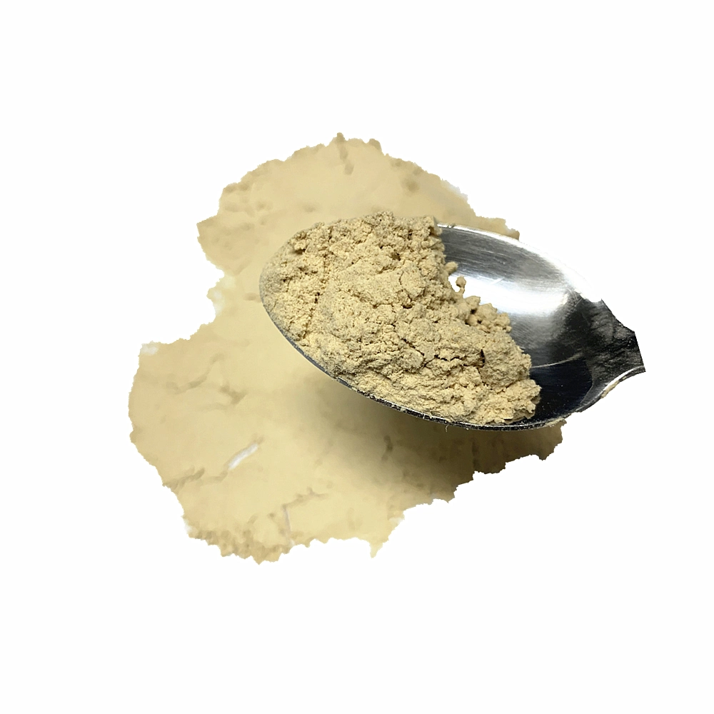 Top Quality Light Selected Healthy Dried Shitake Mushroom Powder