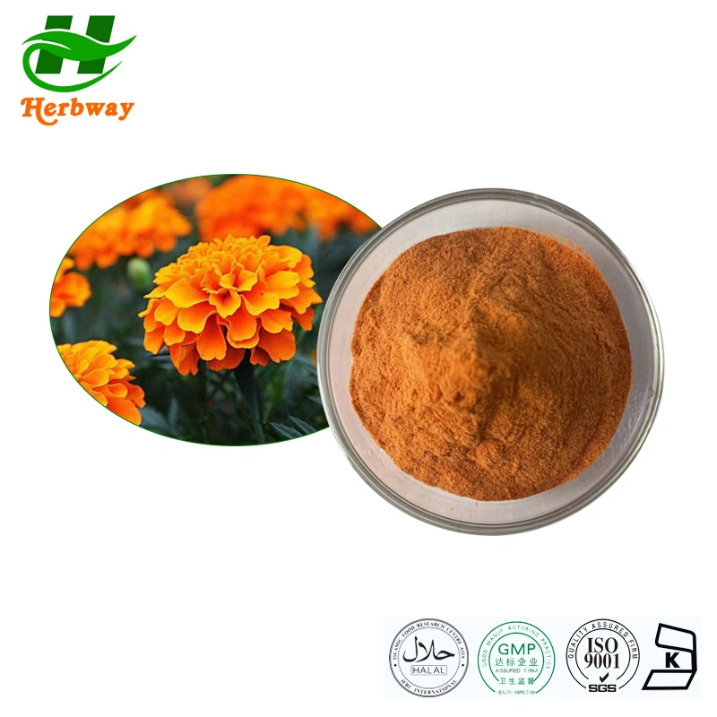 Poudre de Lutéine d'échantillon libre certifiée FSSC HARBway Kosher Halal Poudre d'extrait de Marigold