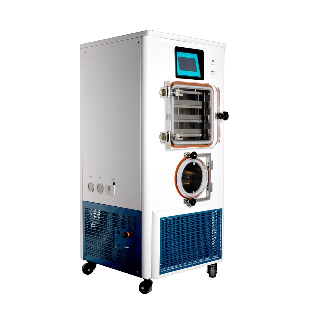 New Design Pilot-Scale in-Situ Electrical Heating Vacuum Freeze Drying Machine for Flowers and Food