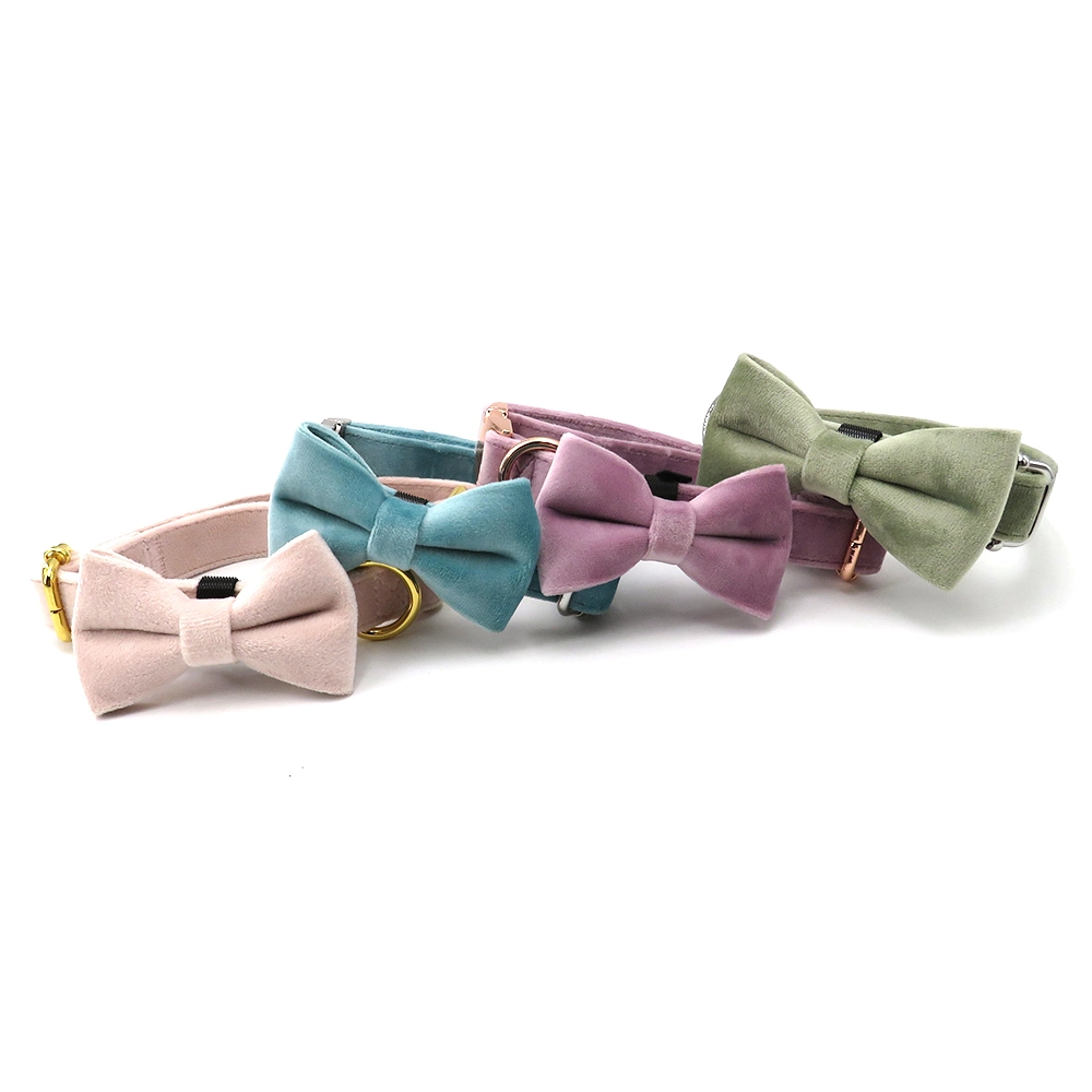 Luxus-Accessoires für Haustiere Samt Verstellbare Metallschnalle Hundehalsband Mit abnehmbarer Bowtie