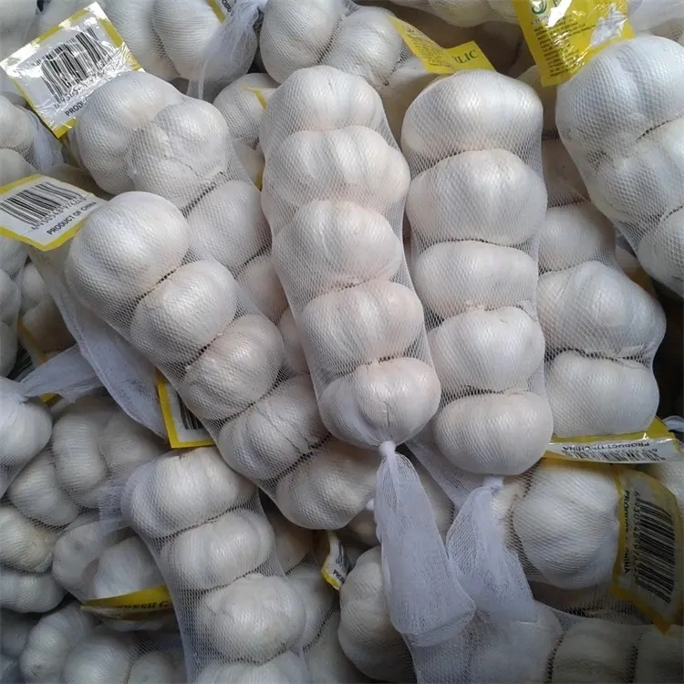 Garlic Fresh Normal White Garlic High quality/High cost performance  New Crop Mesh Net Bag China Suppliers