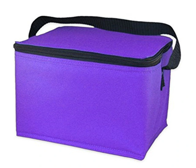 Factory Supply Recycling Silk Screen Resuable Non-Woven Ice Cream Fish Cooler Picnic Bag