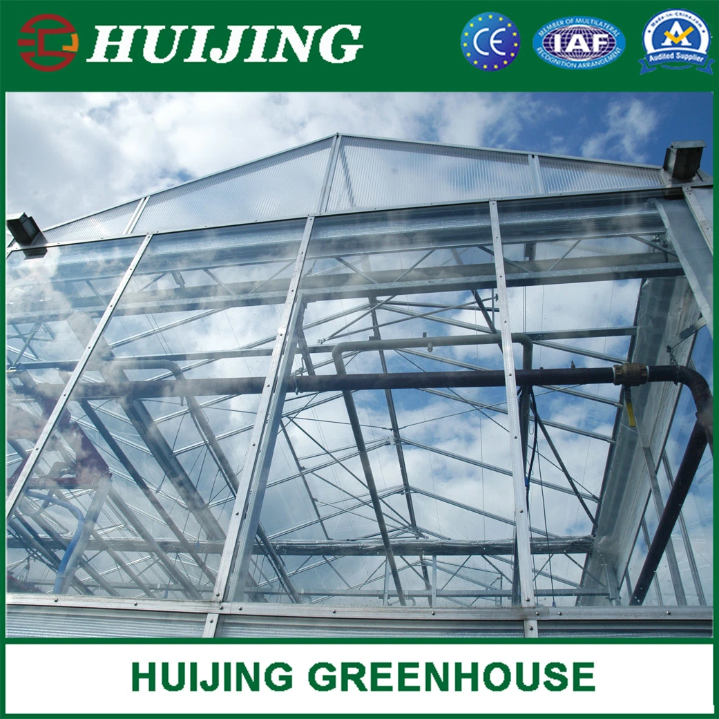 Commercial/Agricultural Venlo Greenhouse with Hollow/Tempered Glass Covering