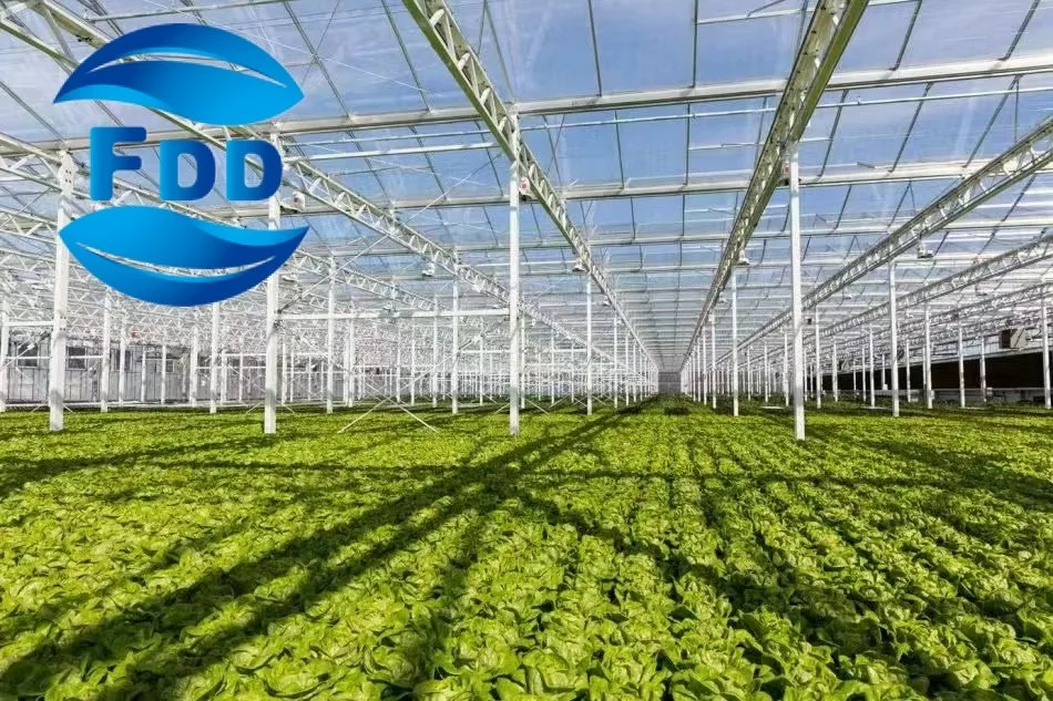 FDD Good Teermal Insulation Good Optical Properties UV Protection Po Greenhouse Plastic Film