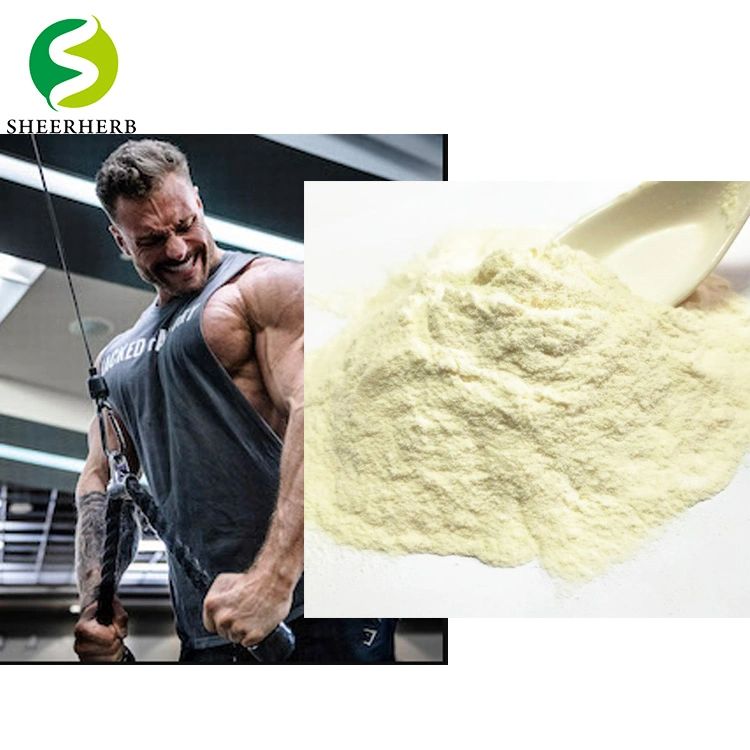 Factory Manufacture Direct Supply Best Whey Protein Isolate Powder CAS 84082-51-9