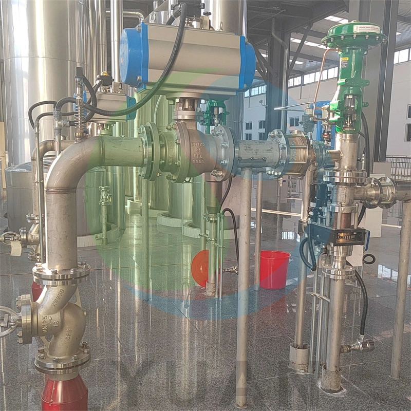 Fully Automatic High Return Industrial Economical Standard Customized Maltodextrin Turnkey Project