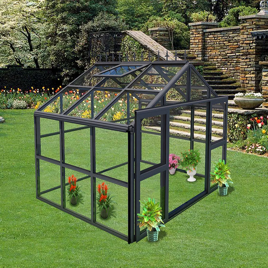 8X20 Walk in Greenhouse aluminium polycarbonate Greenhouse Winter Container Vert Maison pour tomates