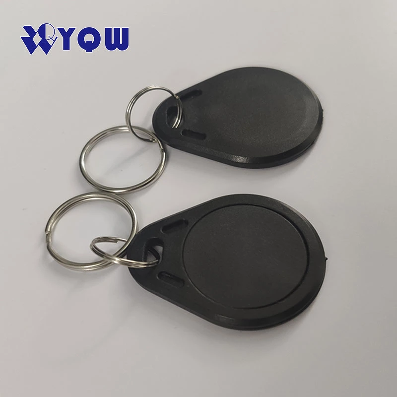 Hf RFID Programmable Printing Custom NFC Key Tag