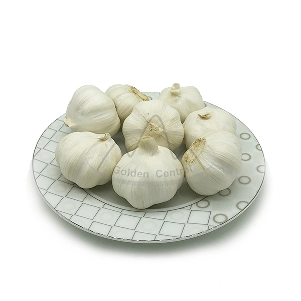 China/Chinese Fresh White Garlics Supplier (red garlic/white garlic) 500g/1kg