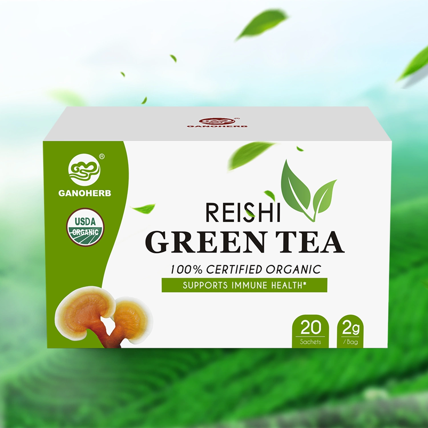 Hot Sale Wholesale/Supplier China Organic Herbal Reishi Room Ganoderma Linzhi Green Tea Bag Health Tea Manufacturer